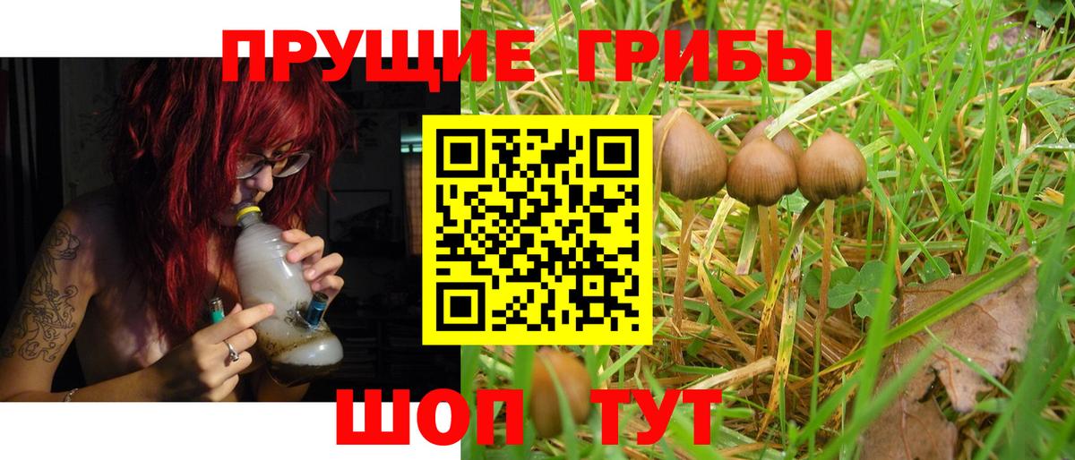 Псилоцибиновые грибы Cubensis  Вход с VPN  Горно-Алтайск  Галлюциногенные грибы Magic Shrooms 